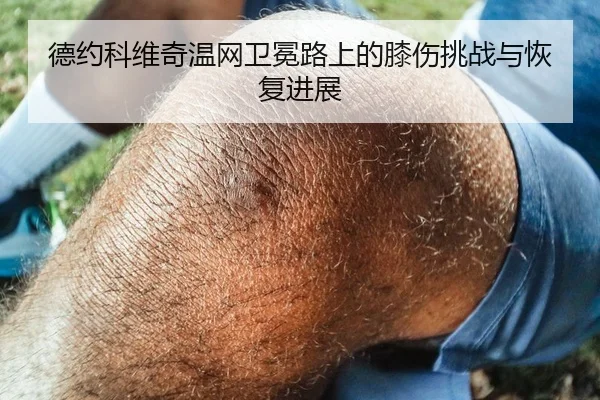 德约科维奇温网卫冕路上的膝伤挑战与恢复进展