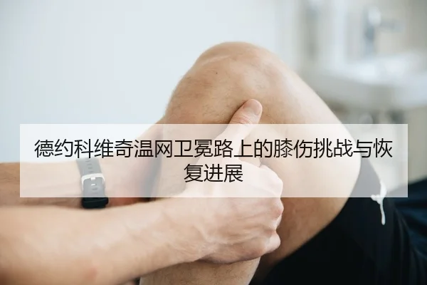 de-yue-ke-wei-qi-wen-wang-wei-mian-lu-shang-de-xi-shang-tiao-zhan-yu-hui-fu-jin-zhan-2-743.jpg