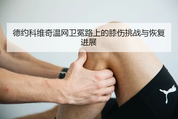 de-yue-ke-wei-qi-wen-wang-wei-mian-lu-shang-de-xi-shang-tiao-zhan-yu-hui-fu-jin-zhan-3-902.jpg