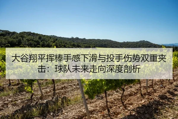 da-gu-xiang-ping-hui-bang-shou-gan-xia-hua-yu-tou-shou-shang-shi-shuang-chong-jia-ji-qiu-dui-wei-lai-zou-xiang-shen-du-2-507.jpg