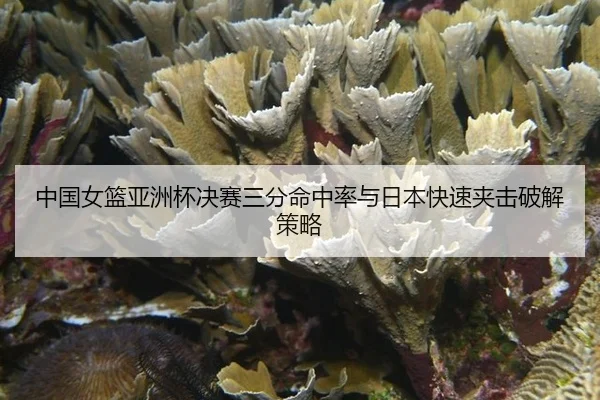 zhong-guo-nv-lan-ya-zhou-bei-jue-sai-san-fen-ming-zhong-lv-yu-ri-ben-kuai-su-jia-ji-po-jie-ce-lve-3-312.jpg