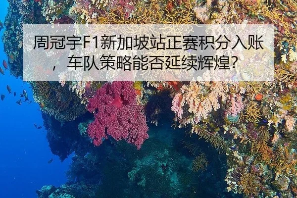 zhou-guan-yu-xin-jia-po-zhan-zheng-sai-ji-fen-ru-zhang-che-dui-ce-lve-neng-fou-yan-xu-hui-huang-2-405.jpg