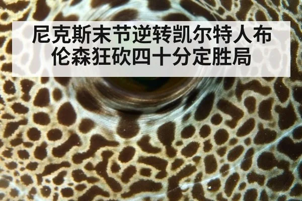 尼克斯末节逆转凯尔特人布伦森狂砍四十分定胜局